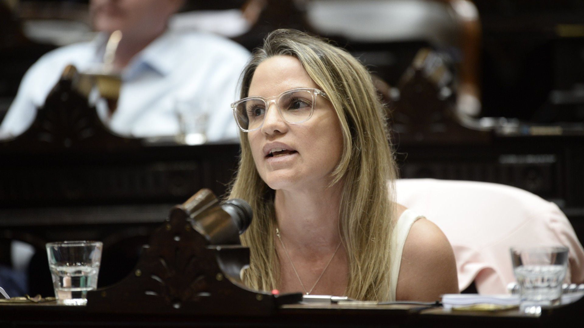 Carolina Píparo - Diputados - Ley Ómnibus