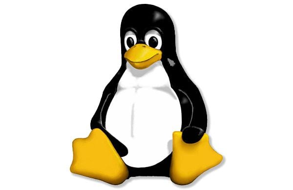 Imagen del logo de Linux. (Archivo)