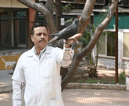 Colonel Dr Bb Kulkarni Bsdpha Releases The Pigeon 2