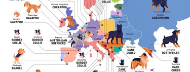 Las razas de perro más queridas en cada país del mundo, reunidas en un simpático mapa 