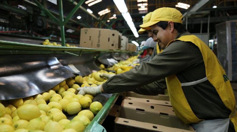 La CNV autorizó ampliar el capital a un líder global agroindustrial argentino