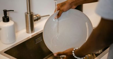 Ahorrá agua: los consejos fáciles de aplicar para no derrochar cuando lavás los platos, en el baño y cuando regás las plantas
