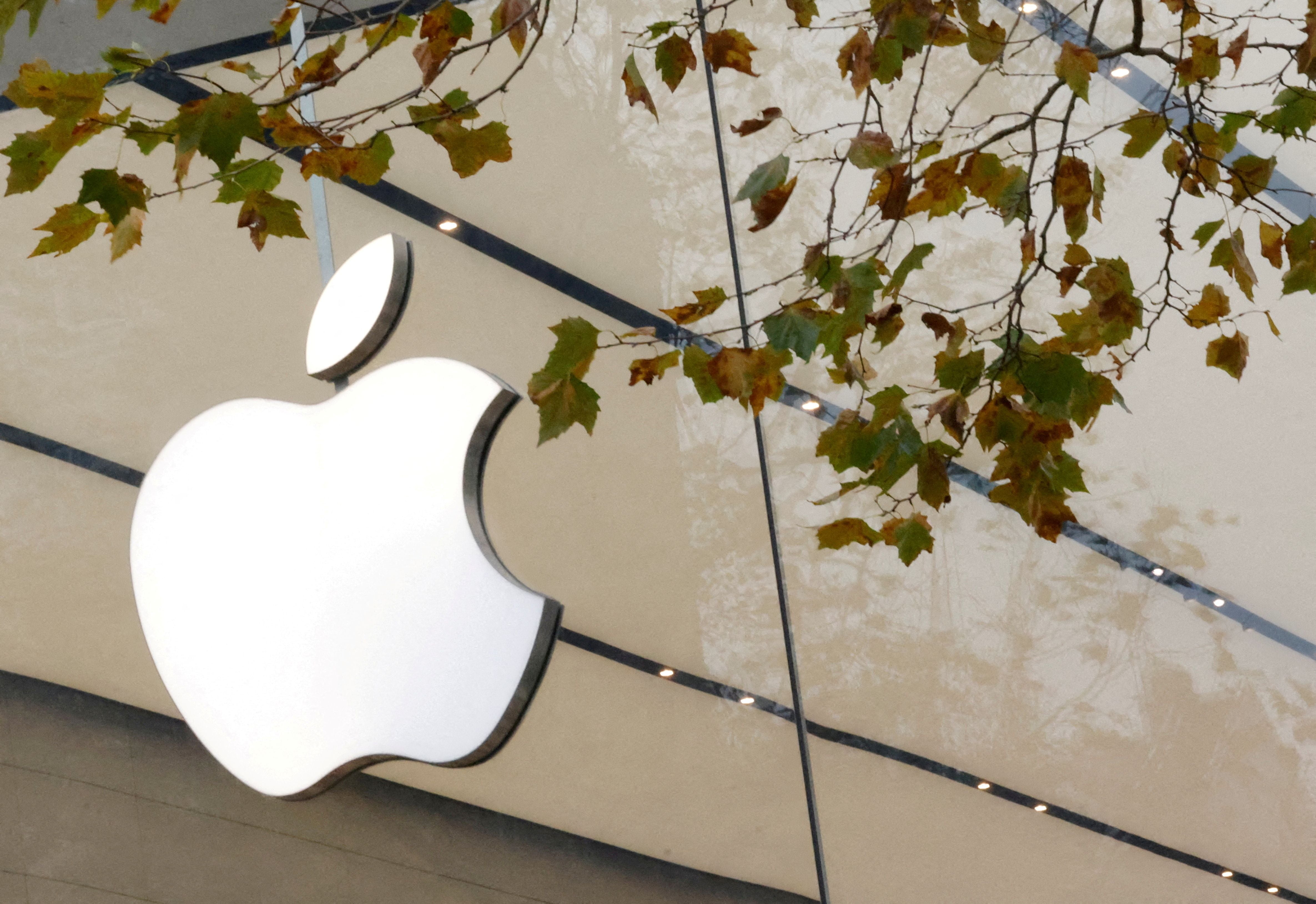 La cancelación del Apple Car y otros proyectos fallidos representan un coste considerable para Apple. (REUTERS/Yves Herman/File Photo)