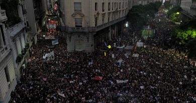 El Gobierno reconoció la legitimidad de la marcha universitaria, pero cuestionó la politización del conflicto