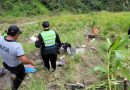 Gobierno lamenta fallecimiento de 25 personas en accidente vehícular en Cajamarca: PNP busca sobrevivientes