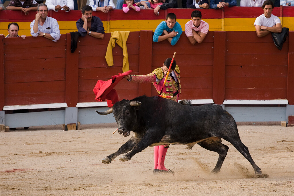 En plena polémica sobre los toros, la Maestranza de Sevilla ha tenido una idea: novilladas gratis para los niños