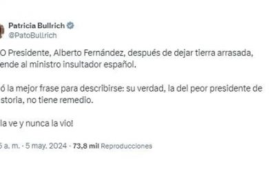 “Ex títere”, “no te piden tanto”, “patético”: el fuerte cruce en redes entre Alberto Fernández y Patricia Bullrich